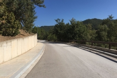 pisicnes4